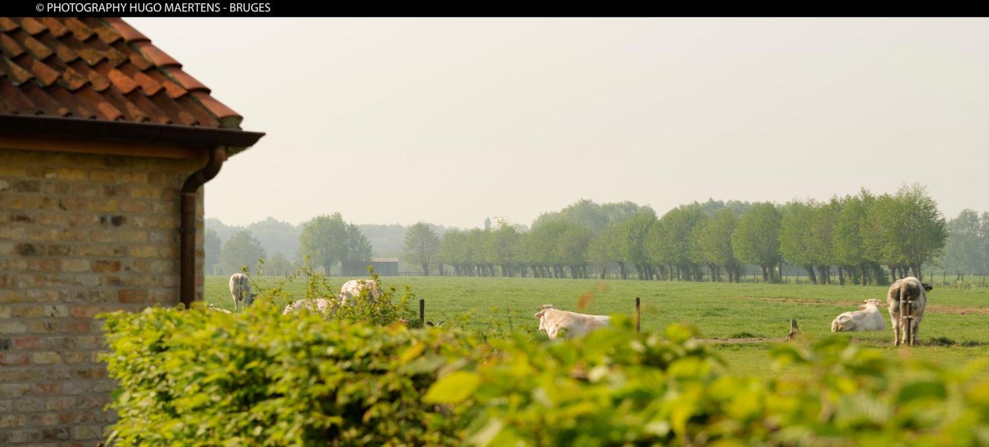 Domein Het Weiland Damme Exterior foto